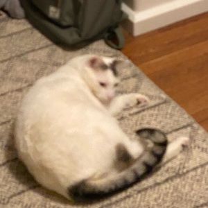 Meet your Posher, Sara